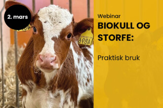 Arrangement FB med dato_mindre2