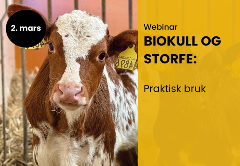Webinar 2: Biokull og storfe