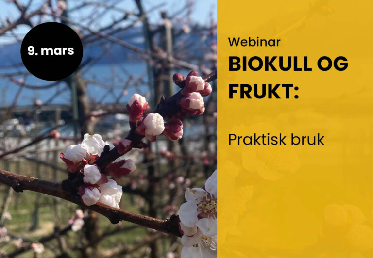 Webinar 3: Biokull og frukt