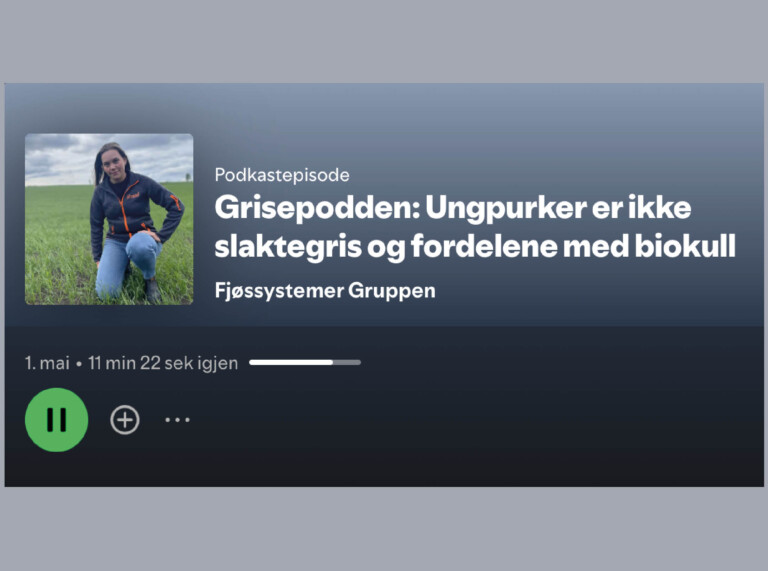 Podcast cover: woman kneeling in a field on the left; title reads 'Grisepodden: Ungpurker er ikke slaktegris og fordelene med biokull'