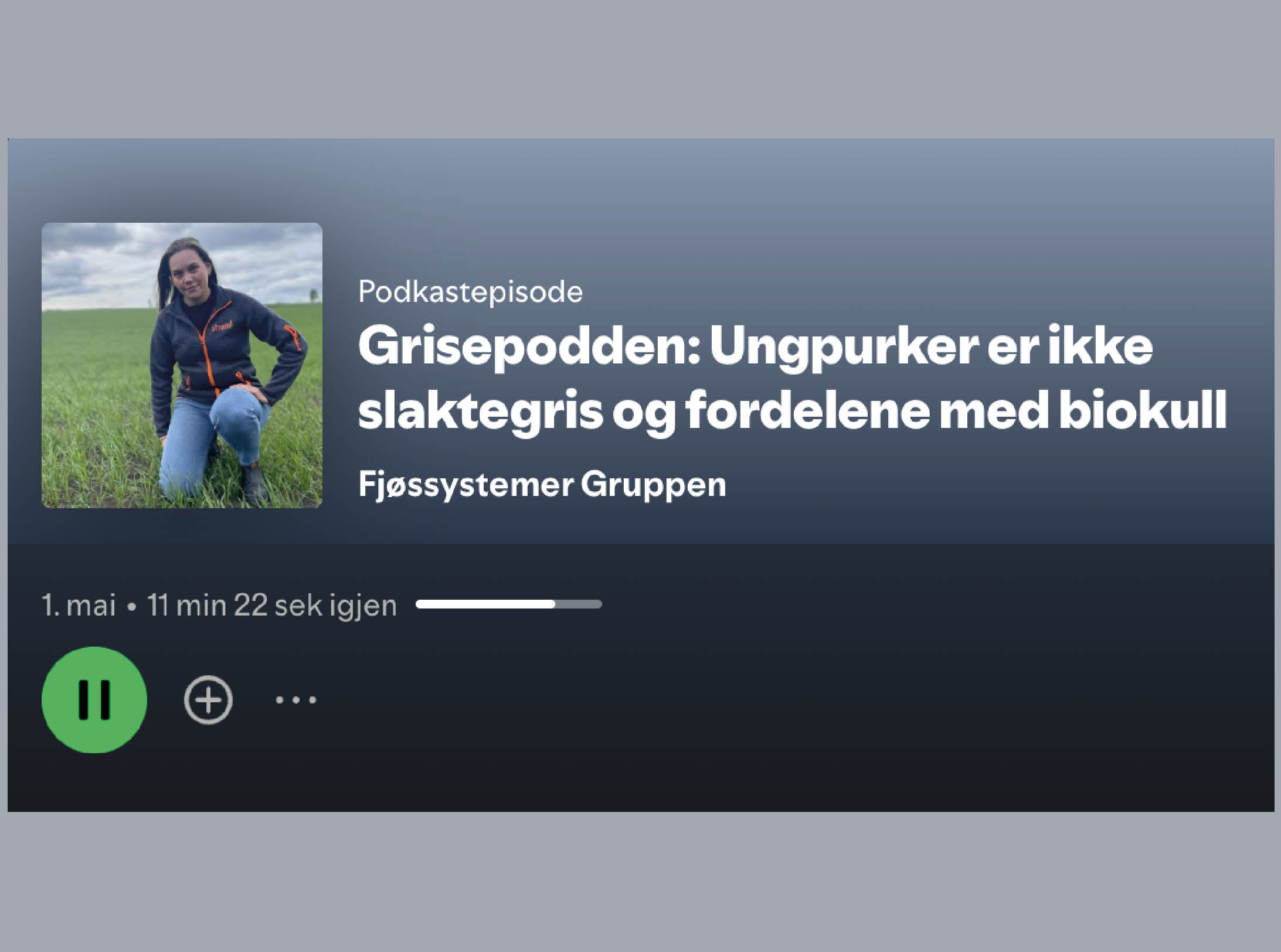 Podcast cover: woman kneeling in a field on the left; title reads 'Grisepodden: Ungpurker er ikke slaktegris og fordelene med biokull'