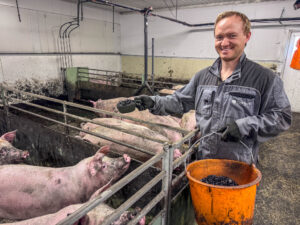 Smiling man in gray coveralls holds a bowl of pig feed beside a pen of pink pigs in a farm barn.