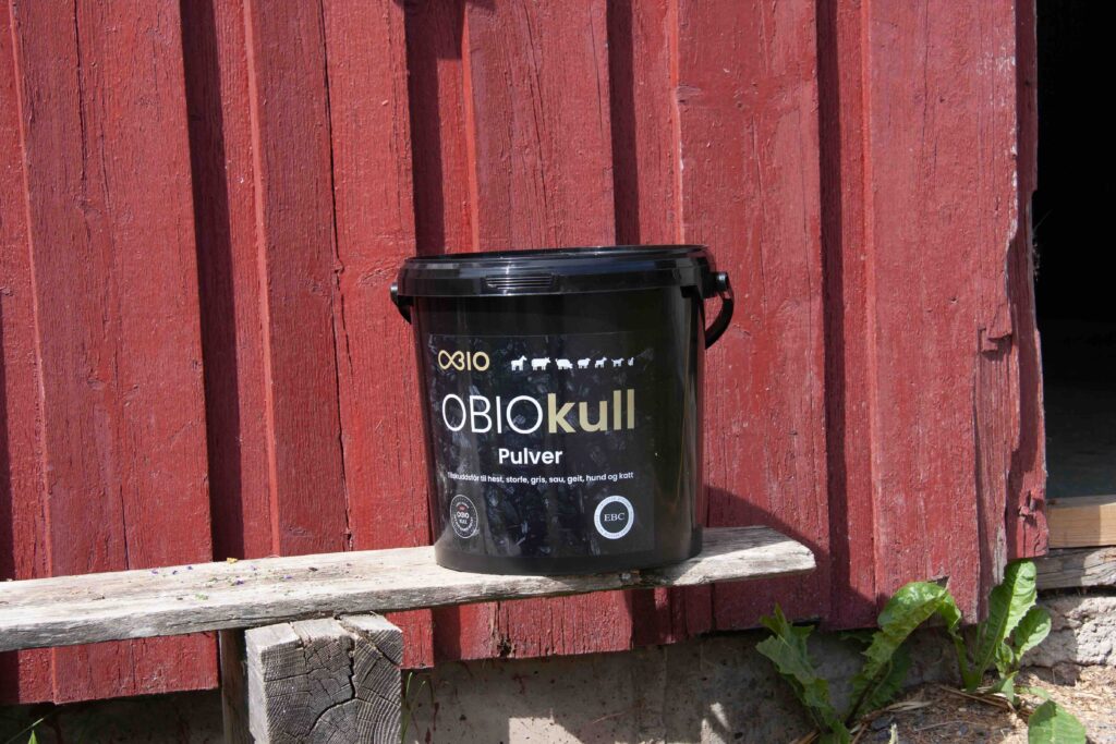 Ambsodeghest2 – Obio AS